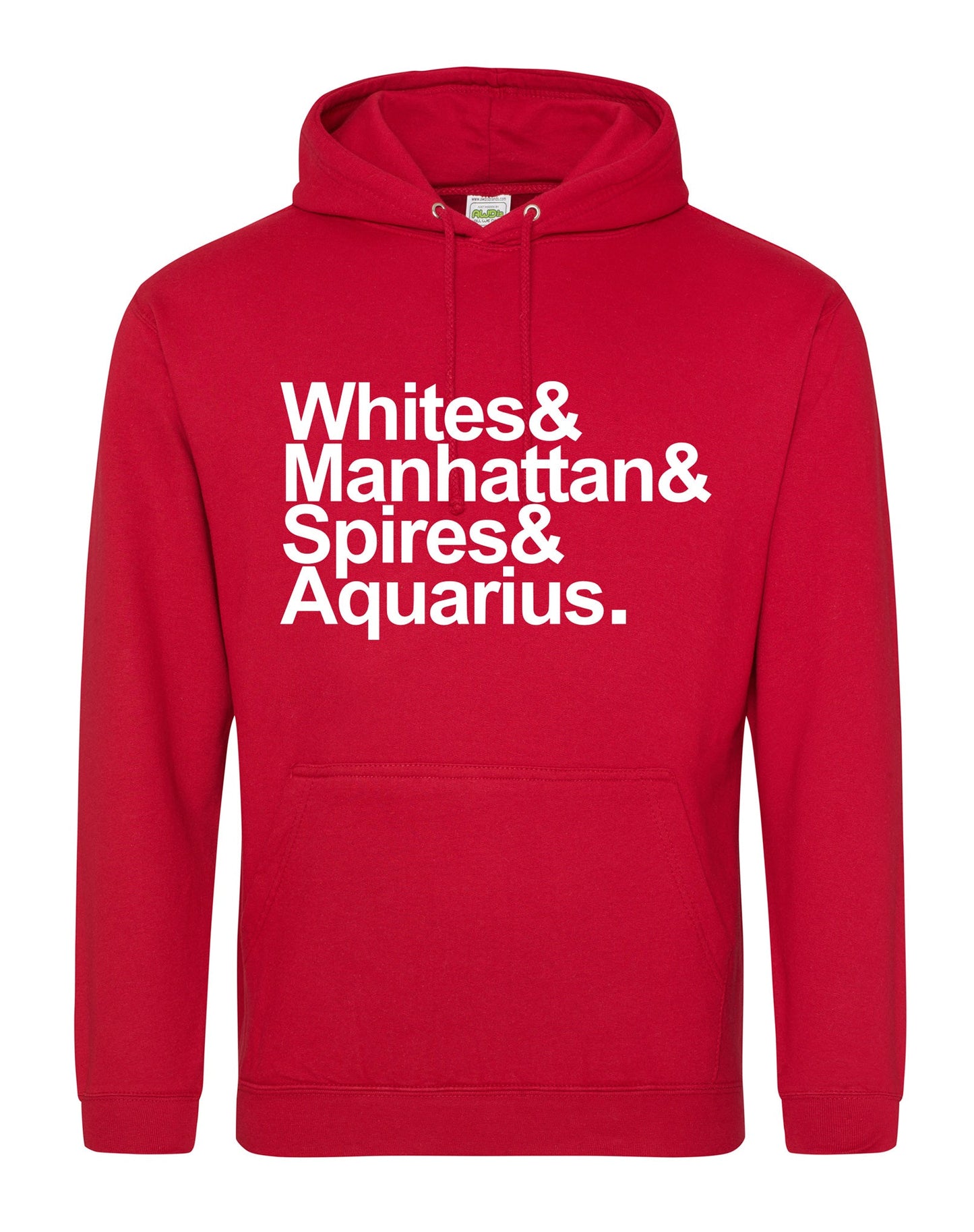 Destination Aquarius unisex fit hoodie - various colours - Dirty Stop Outs