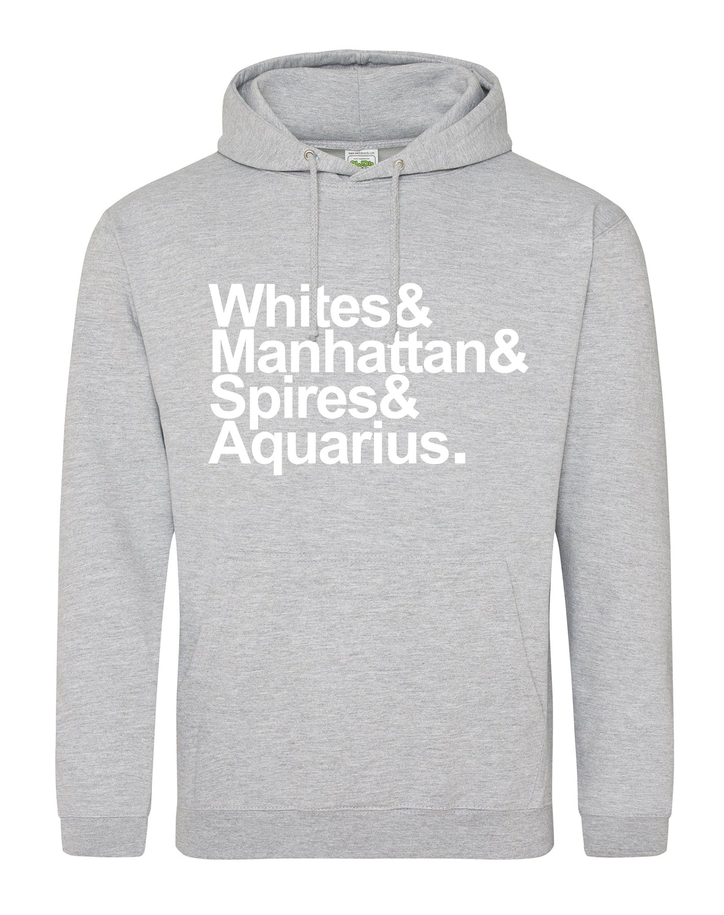 Destination Aquarius unisex fit hoodie - various colours - Dirty Stop Outs