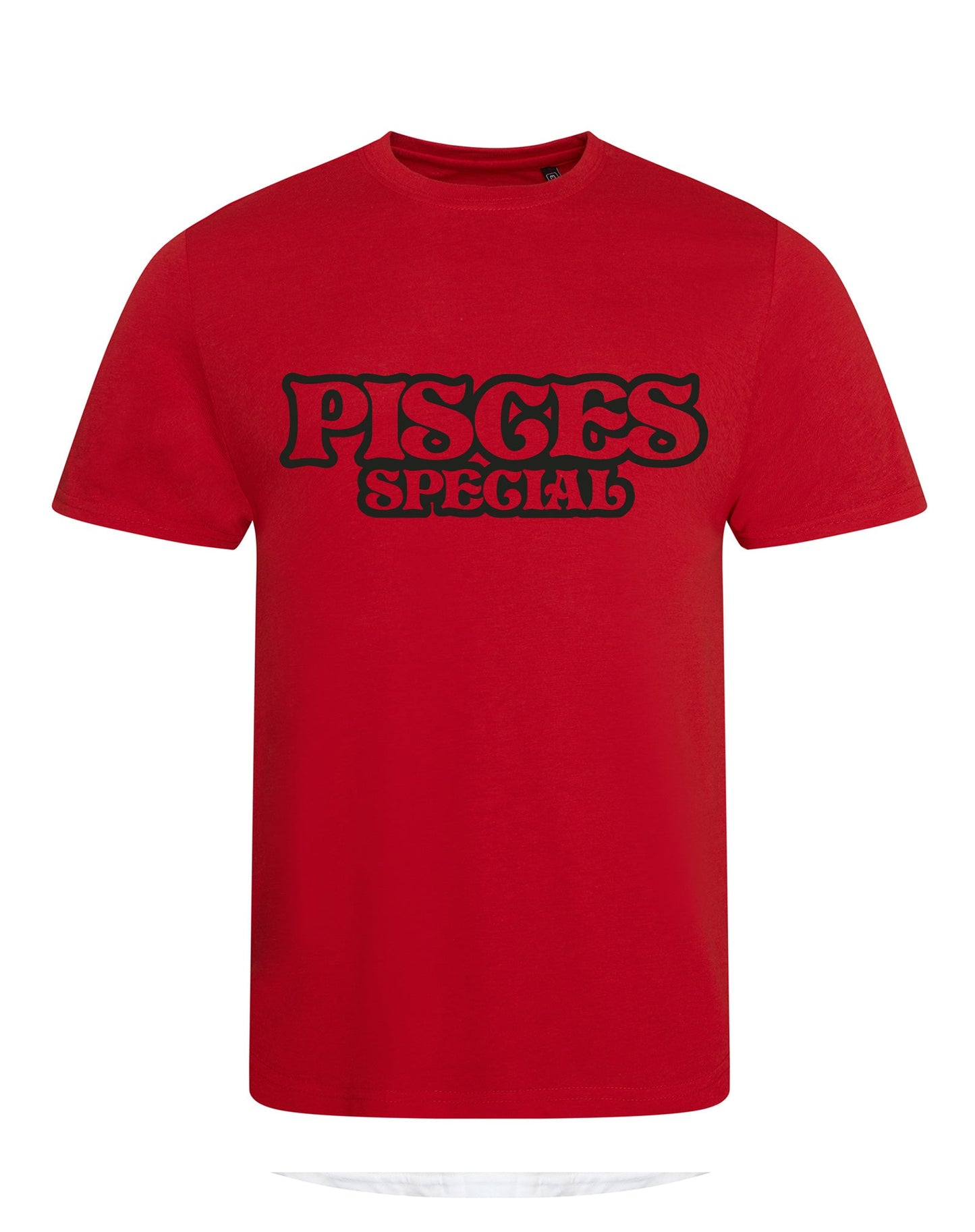 Pisces Special unisex fit T-shirt - various colours - Dirty Stop Outs