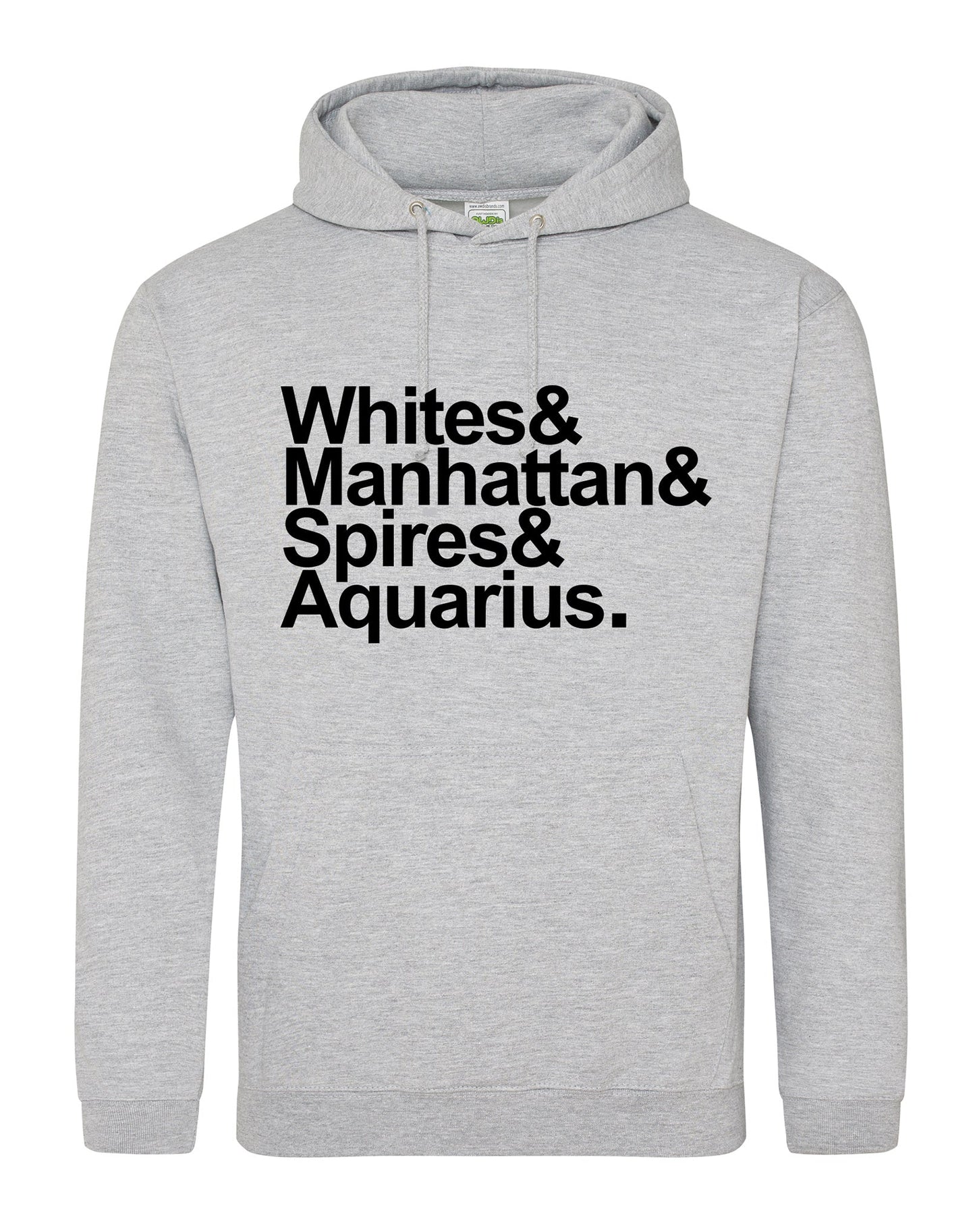 Destination Aquarius unisex fit hoodie - various colours - Dirty Stop Outs
